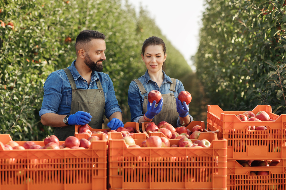 Small Business Grant 2022